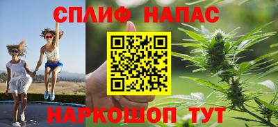 дмт Нальчик