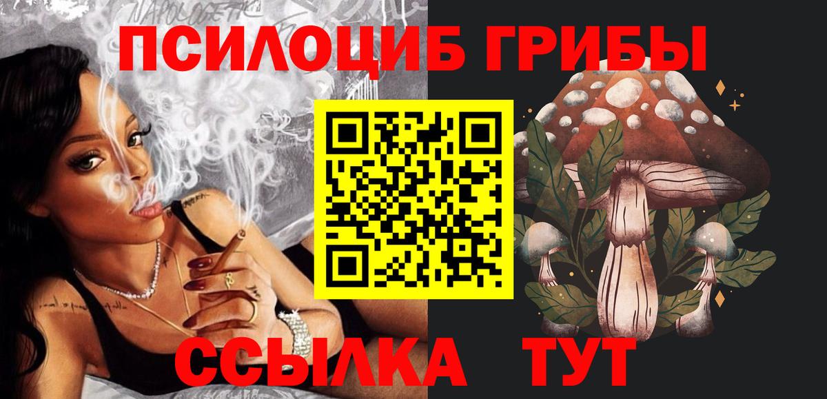 Галлюциногенные грибы прущие грибы Сергиев Посад